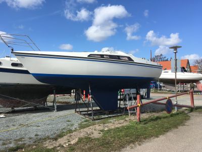 Sunwind 26