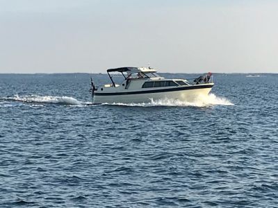 Ramin 785