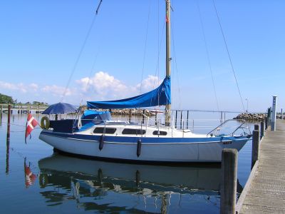 Danboat 29