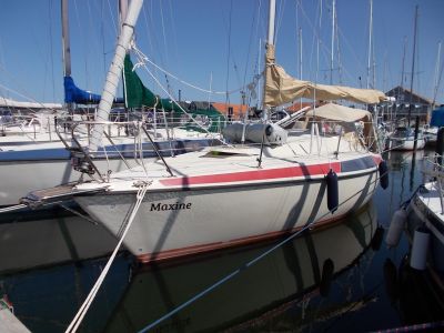 Maxi 84