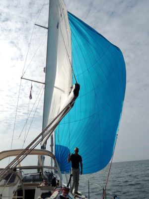  Genaker, Bavaria 40 Ocean, cena 10 000 DKK