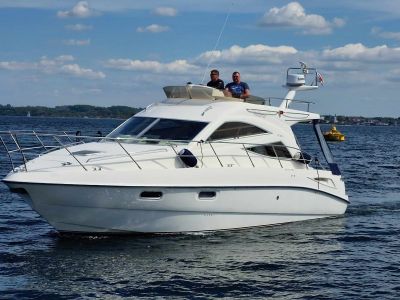 Sealine F34 Luksus Flybridge båd